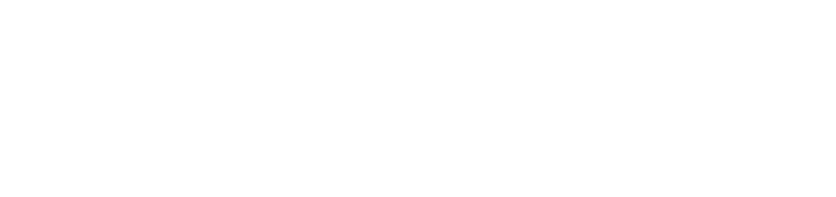 STRONG POINT