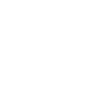 報告書の作成