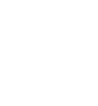 報告書の作成