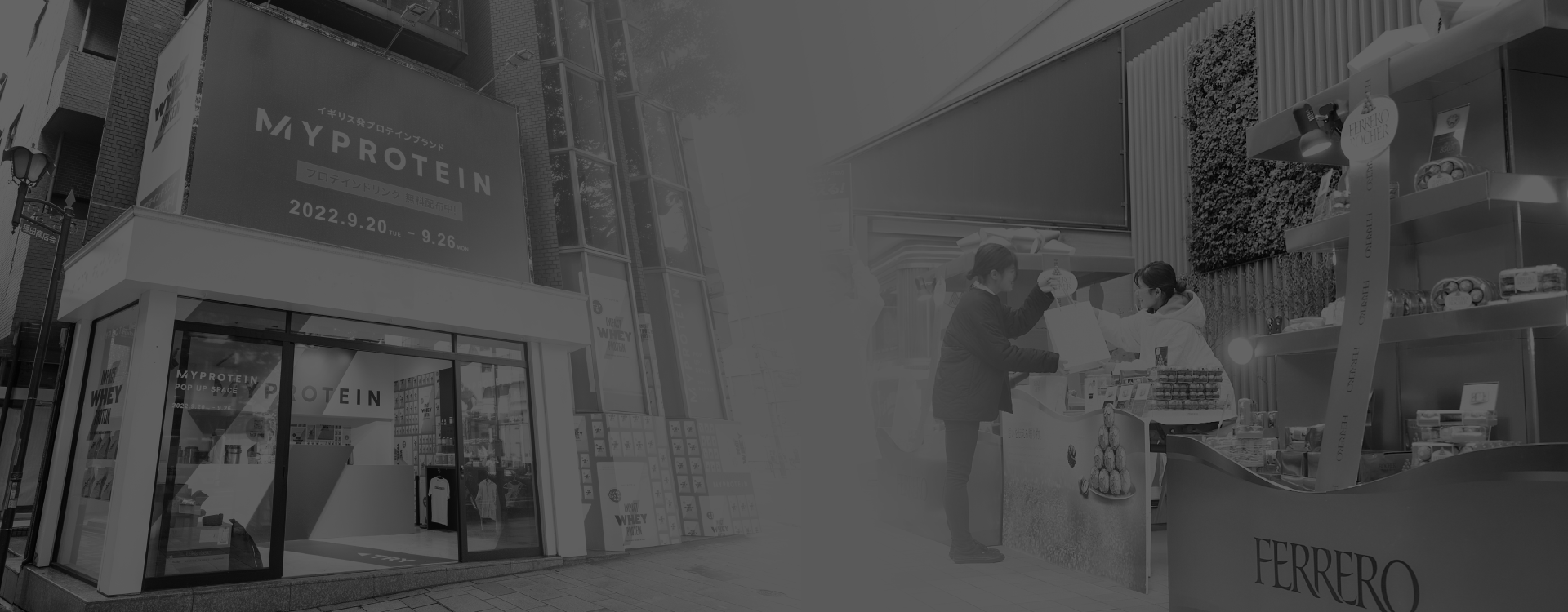 事業内容・サービス一覧